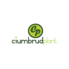 CiumbrudPlant